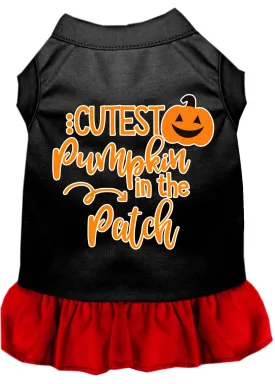 Cutest Pumpkin In The Patch Screen Print Dog Dress Black With Red Xs